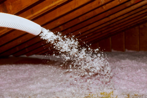 Types of Insulation We Offer in Burnettown, SC