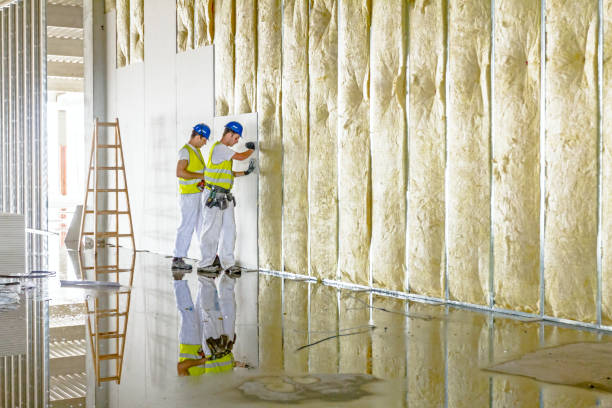 Best Energy Efficiency Insulation in Burnettown, SC
